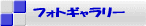 tHgM[